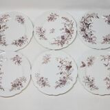 6 Superbes Assiettes Anciennes XIXème En Porcelaine Blanche Décor Oiseaux