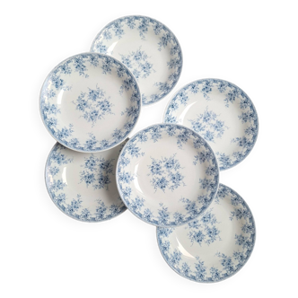 6 blue Rivanel soup plates
