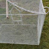 Old bird cage