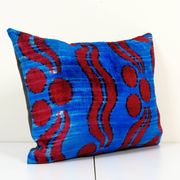 Cushion