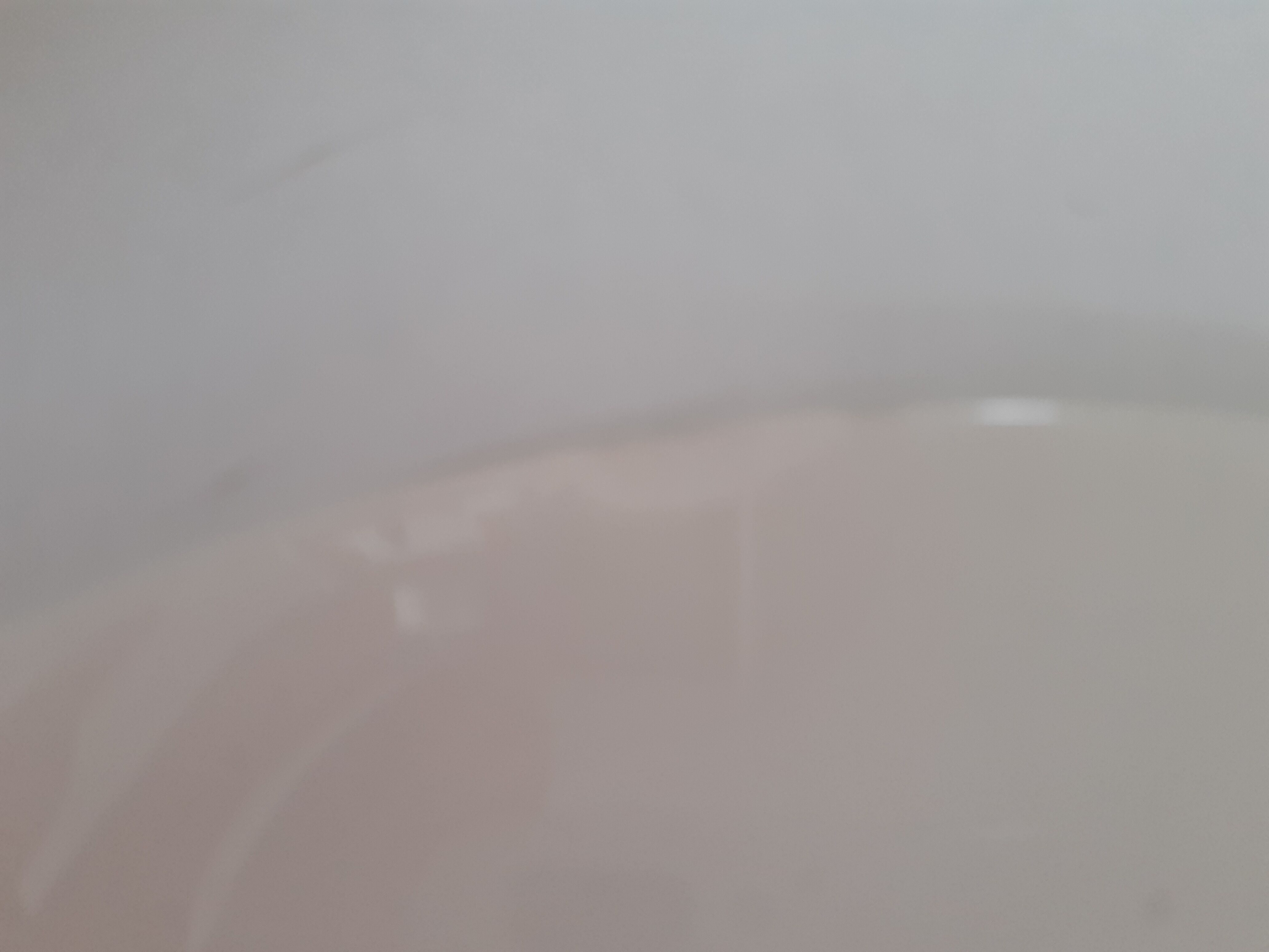 2 vintage hollow plates blue floral pattern