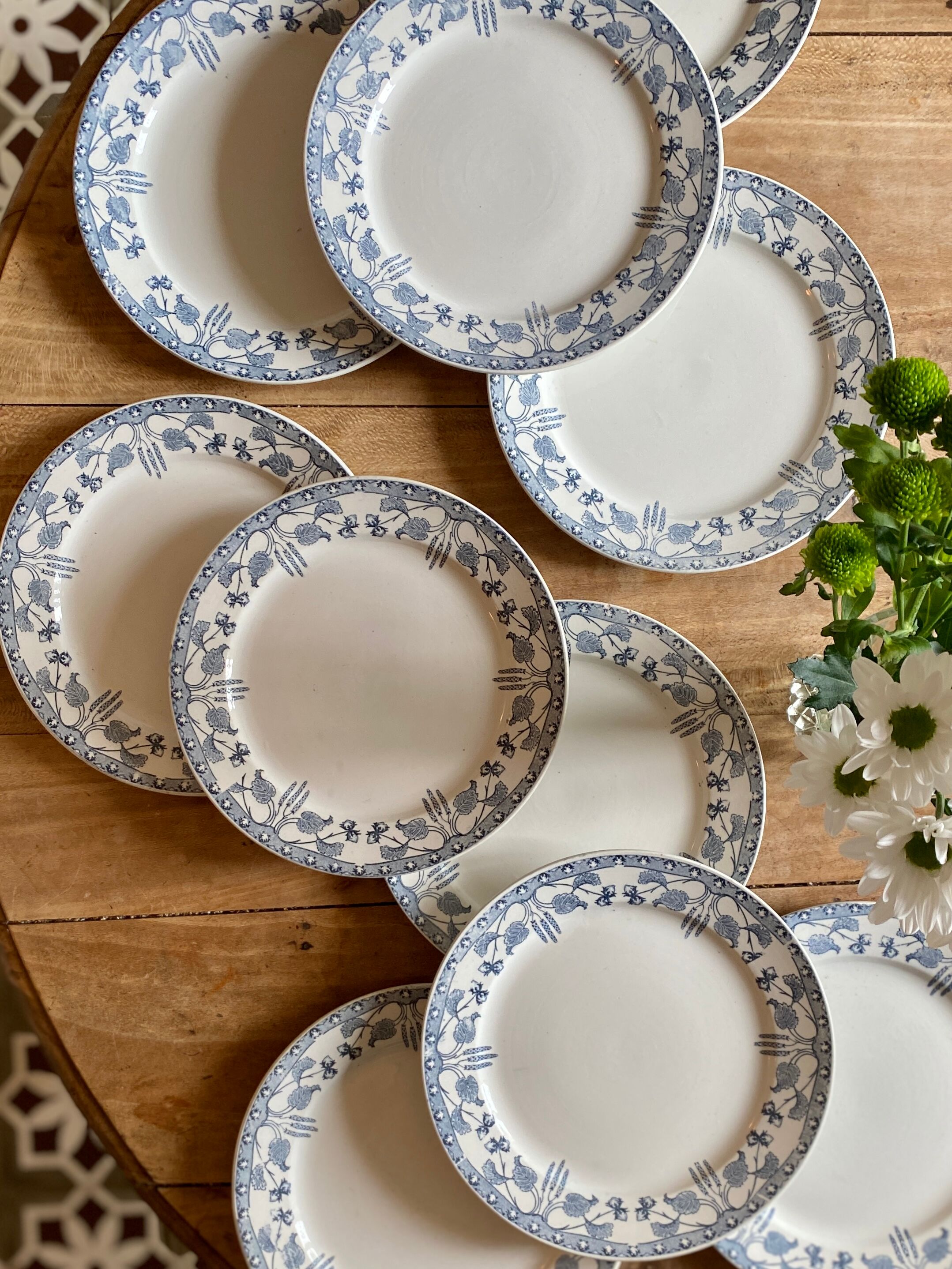 Set of 10 old flat plates in iron earth, model Noisette de Sarreguemines