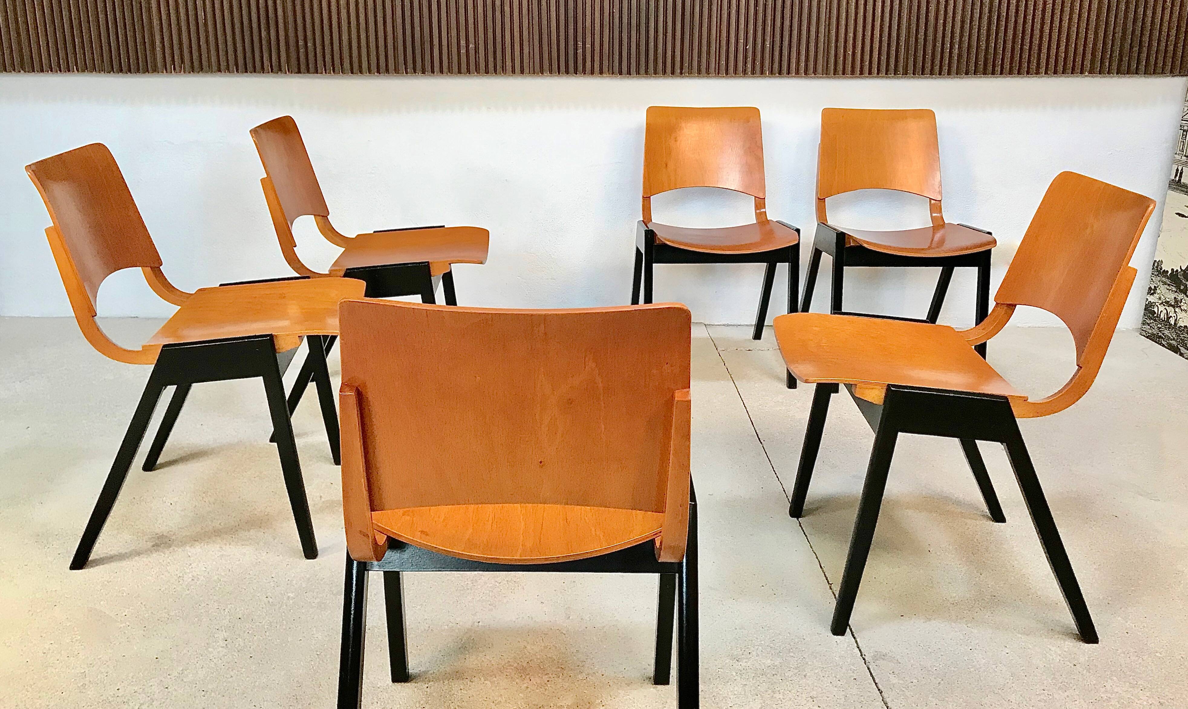Set of 6 Dining Chairs P7 by Roland Rainer for E & A Pollack, Vienna 1952