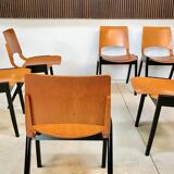 Set of 6 Dining Chairs P7 by Roland Rainer for E & A Pollack, Vienna 1952