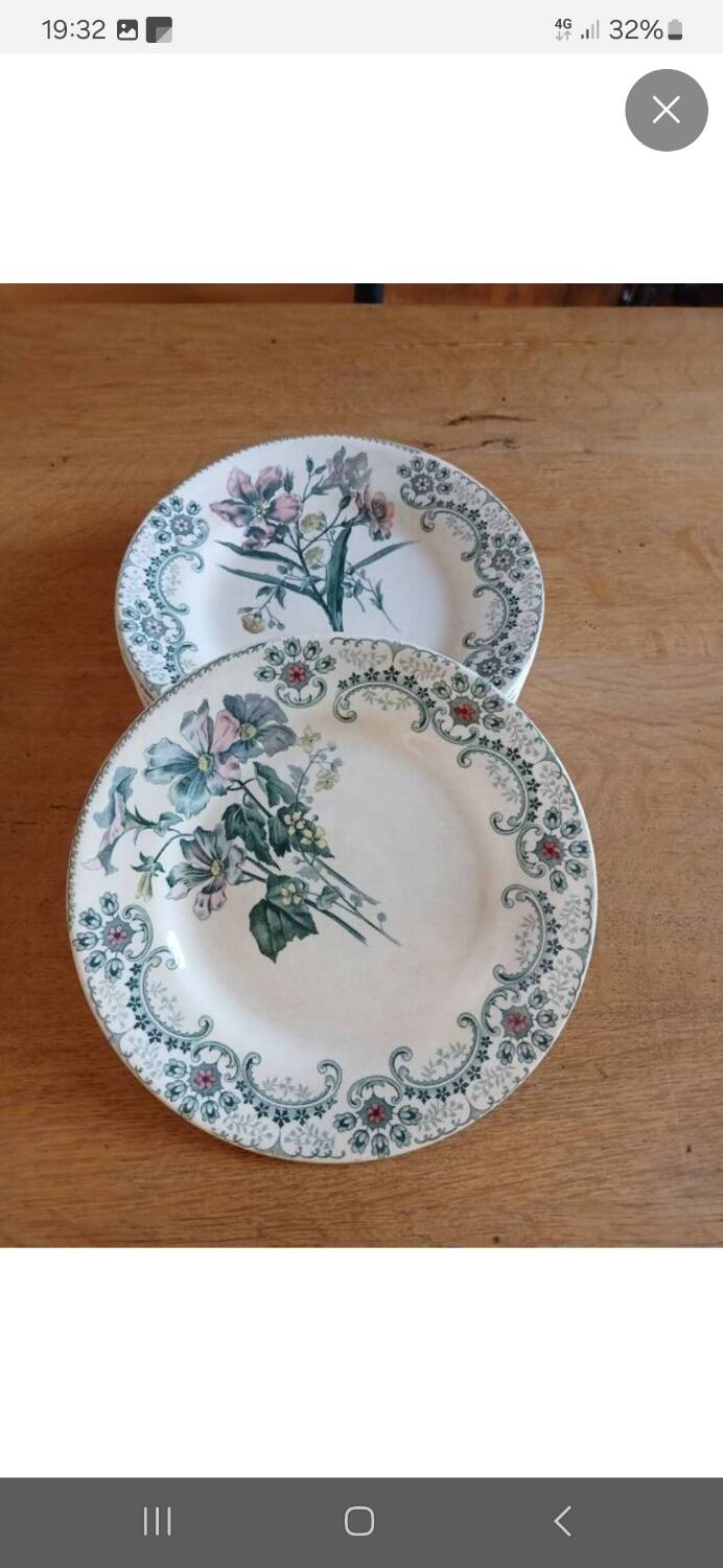 7 old flat plates Terre de fer