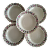 Limoges Bernardaud 5 Deep Plates in porcelain