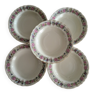 Limoges Bernardaud 5 Deep Plates in porcelain