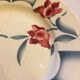 Digoin Sarreguemines flat plates