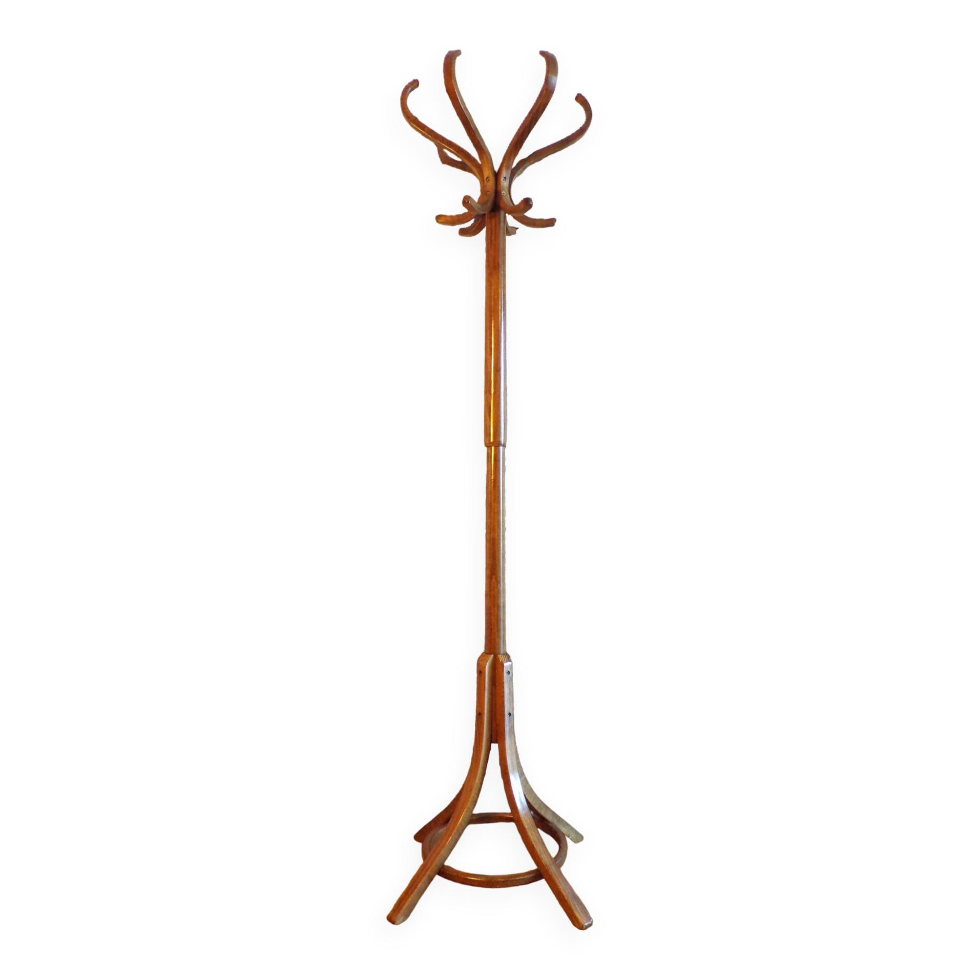 Baumann parrot coat rack in bent wood