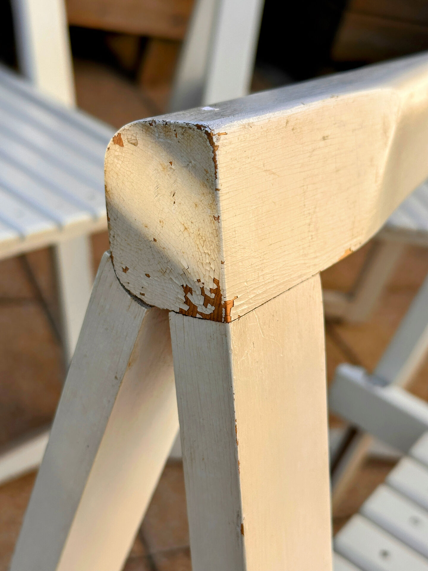 4 Trieste chairs by Aldo Jacober for Alberto Bazzani