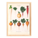 Poster about white radishes, based on an old engraving from 1886.