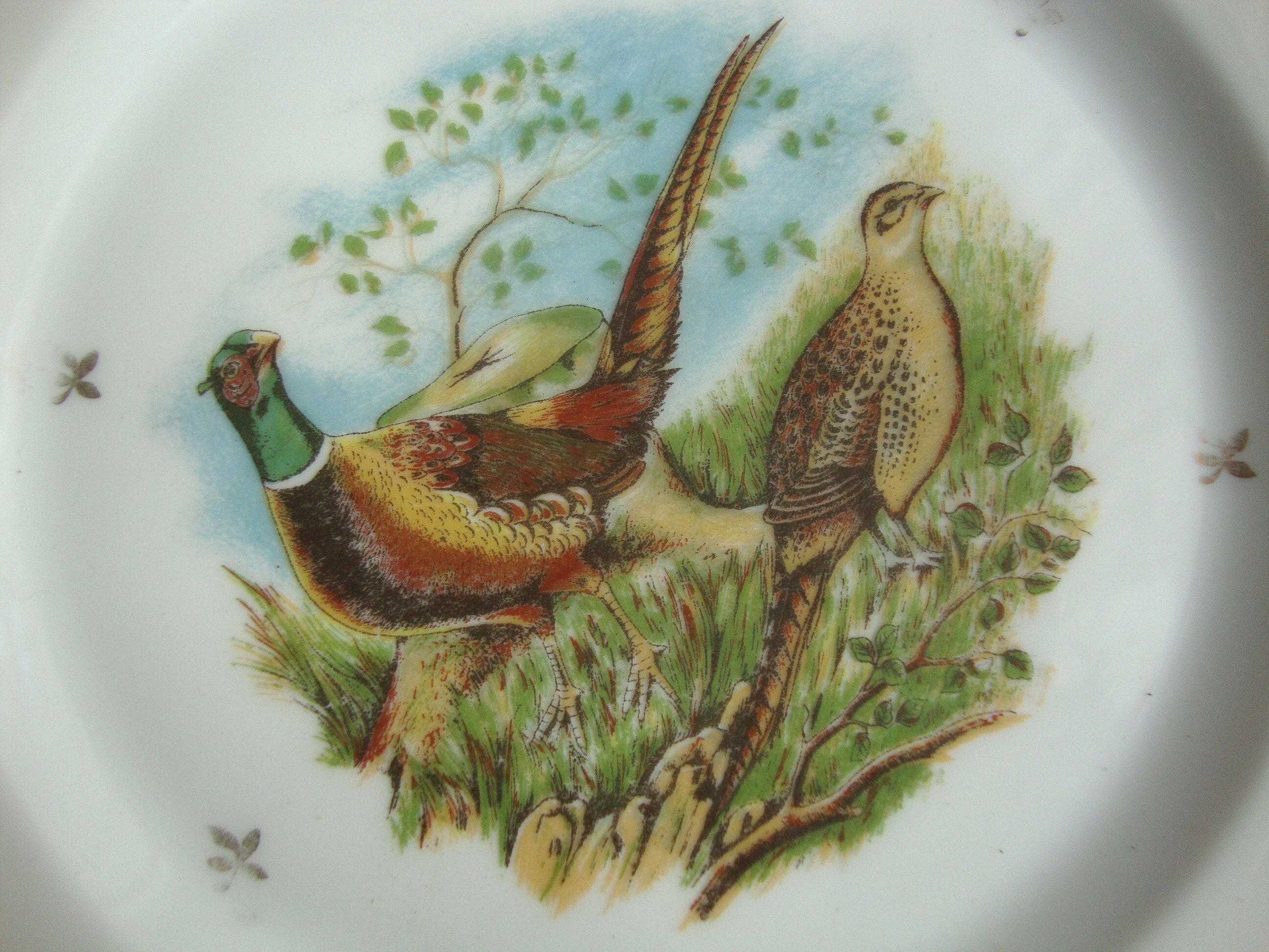 6 Limoges porcelain plates