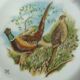 6 Limoges porcelain plates