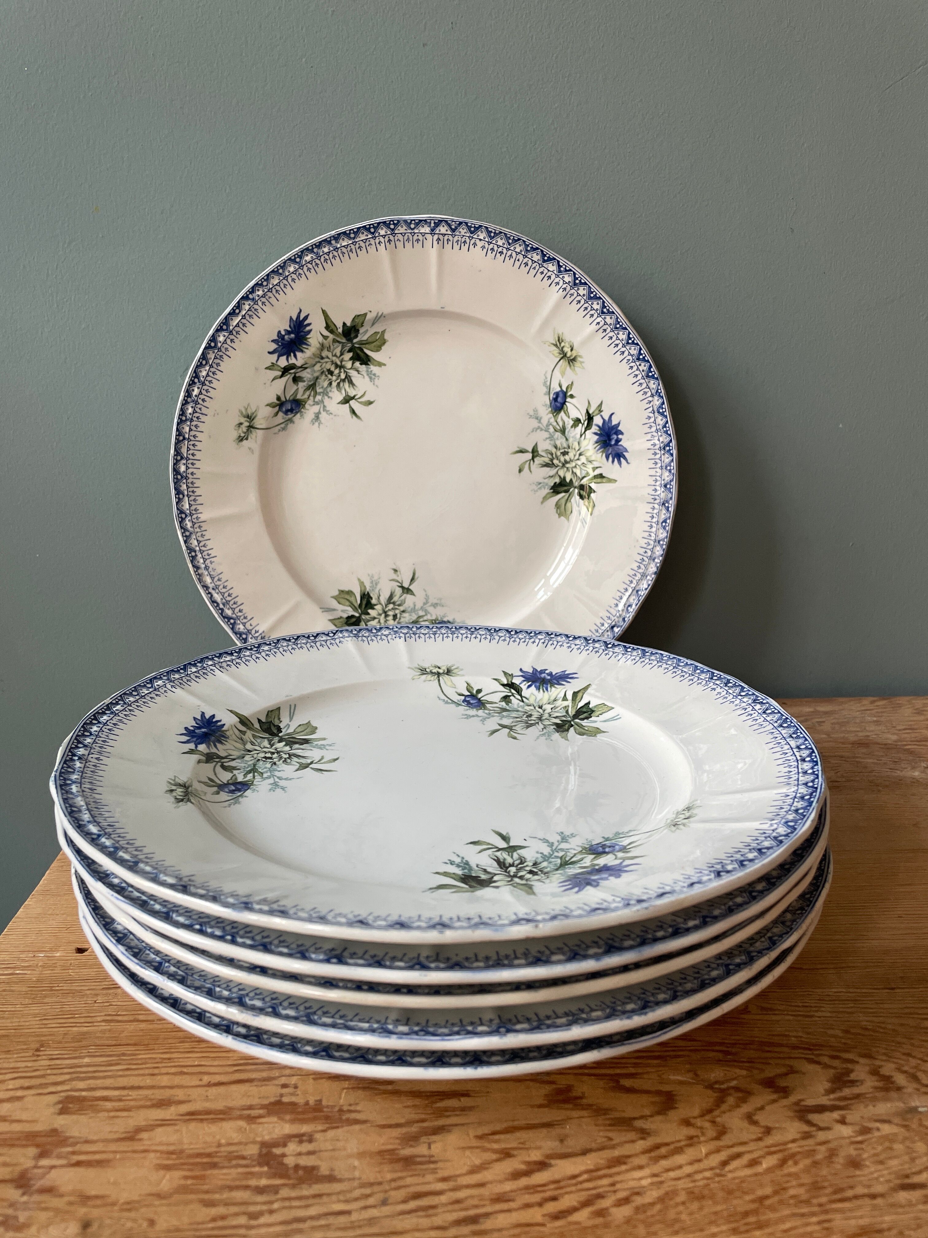 Lot de 6 assiettes plates Terre de Fer St Amand et Hamage