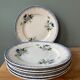 Lot de 6 assiettes plates Terre de Fer St Amand et Hamage
