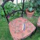 Pair of Napoleon III chairs - parrot decoration