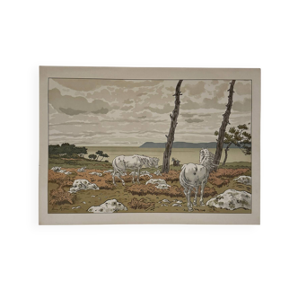 Lithograph by Henri Rivière Aspects of Nature - The Bay