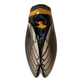 Ceramic cicada
