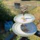 Winterling porcelain cake stand