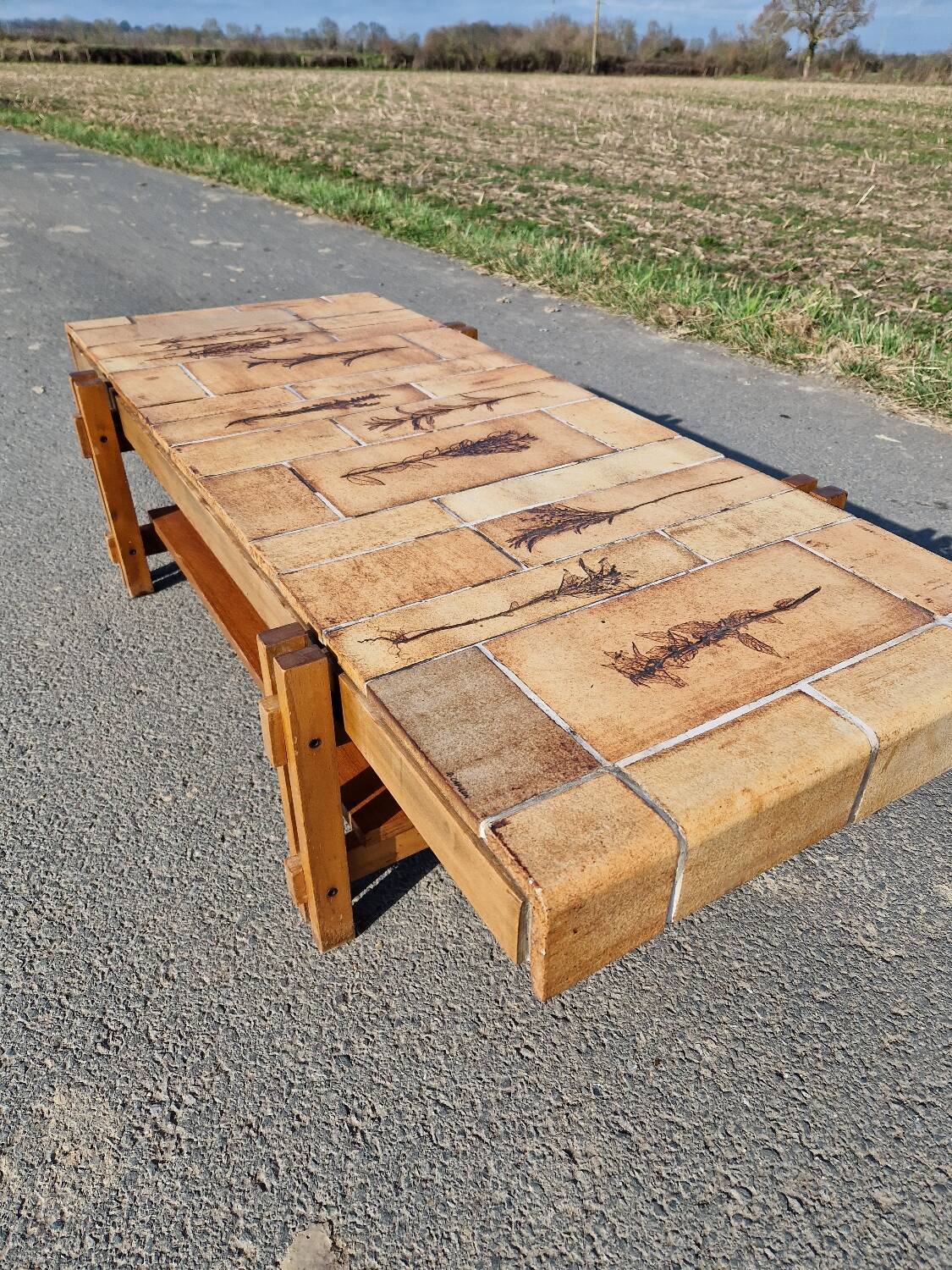 Vintage coffee table by Roger Capron, herbarium model