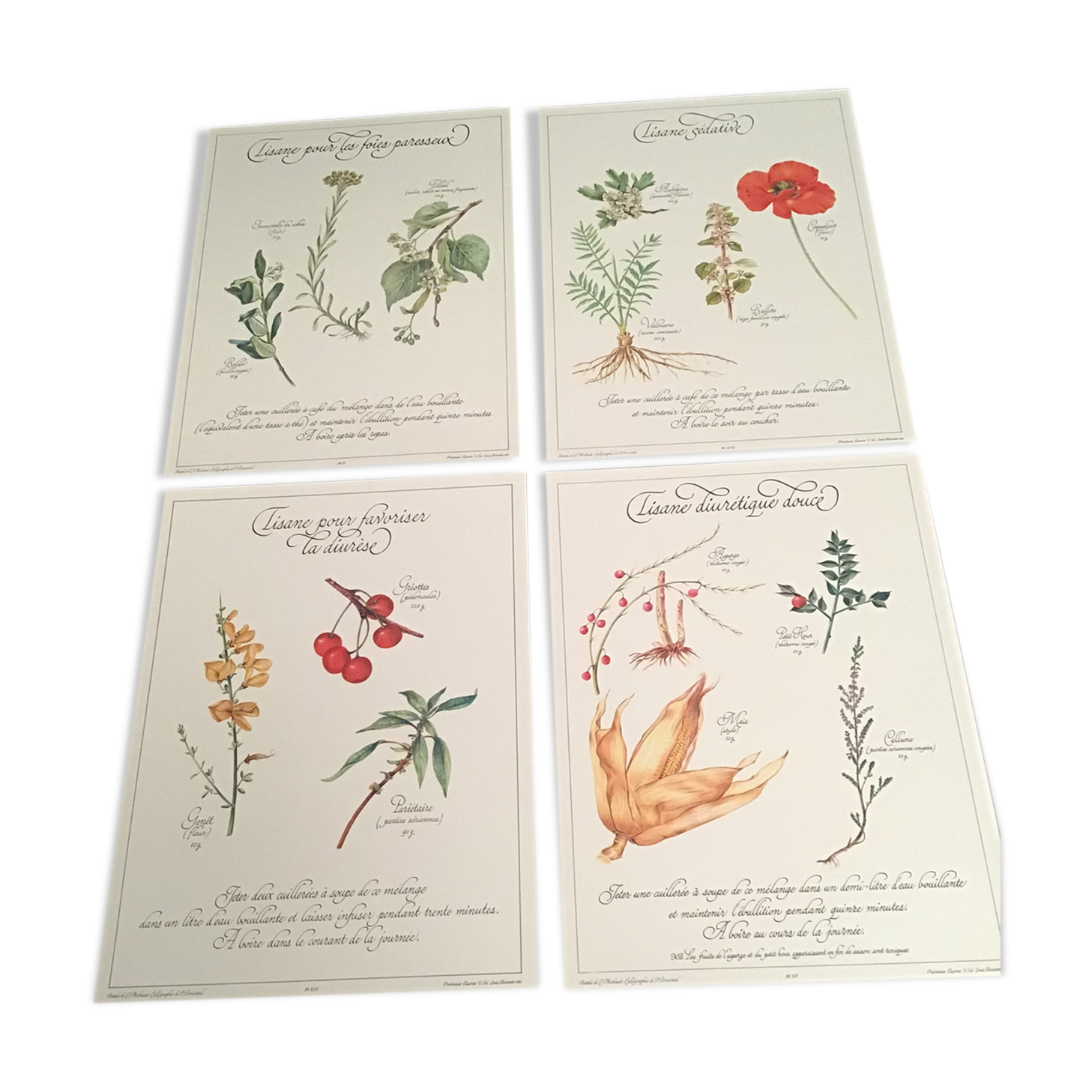 Lot posters ready herbal