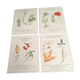 Lot posters ready herbal