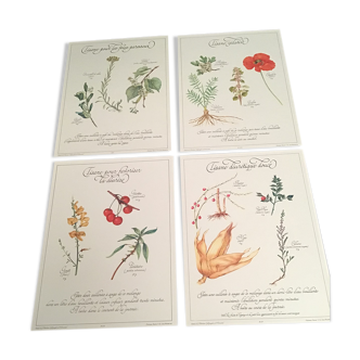 Lot affiches tisanes precieuses