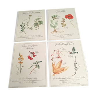 Lot posters ready herbal