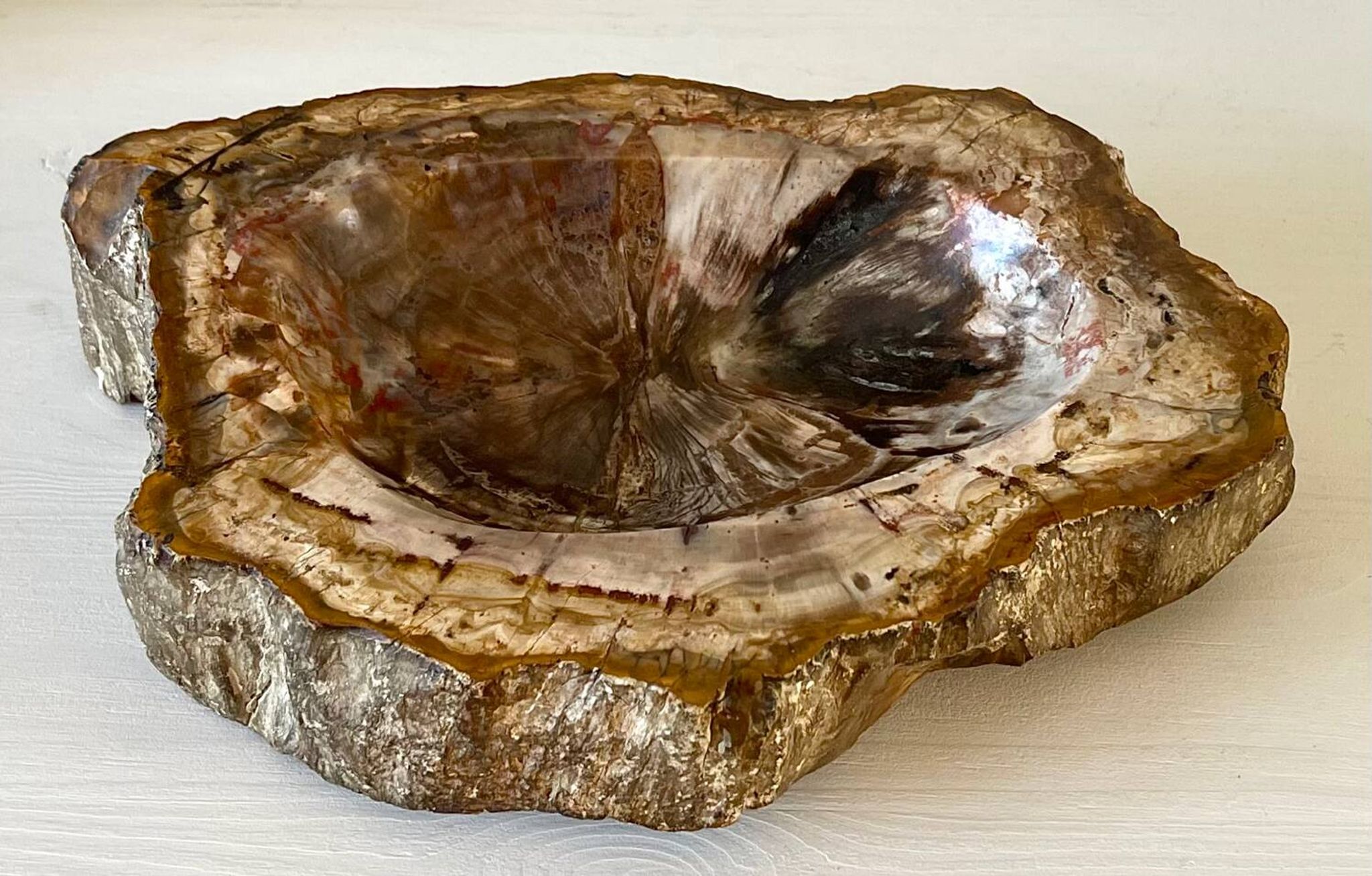 Petrified wood catchall