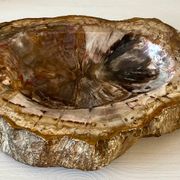 Petrified wood catchall
