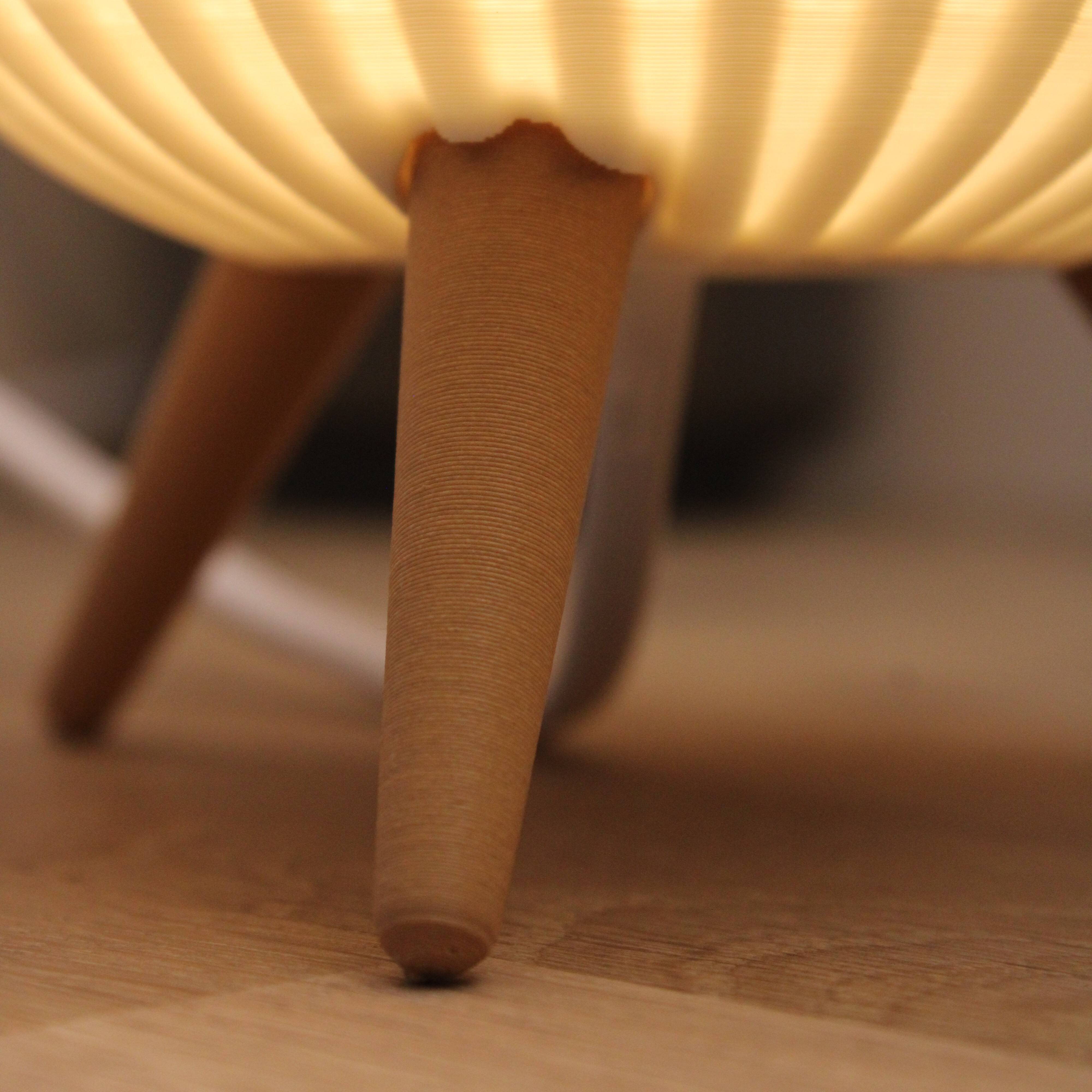Tulip lamp