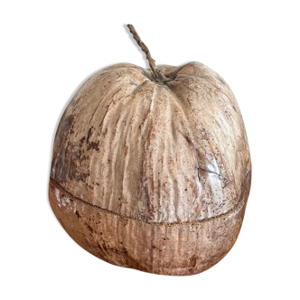 Empty coconut pocket