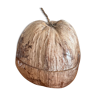 Empty coconut pocket