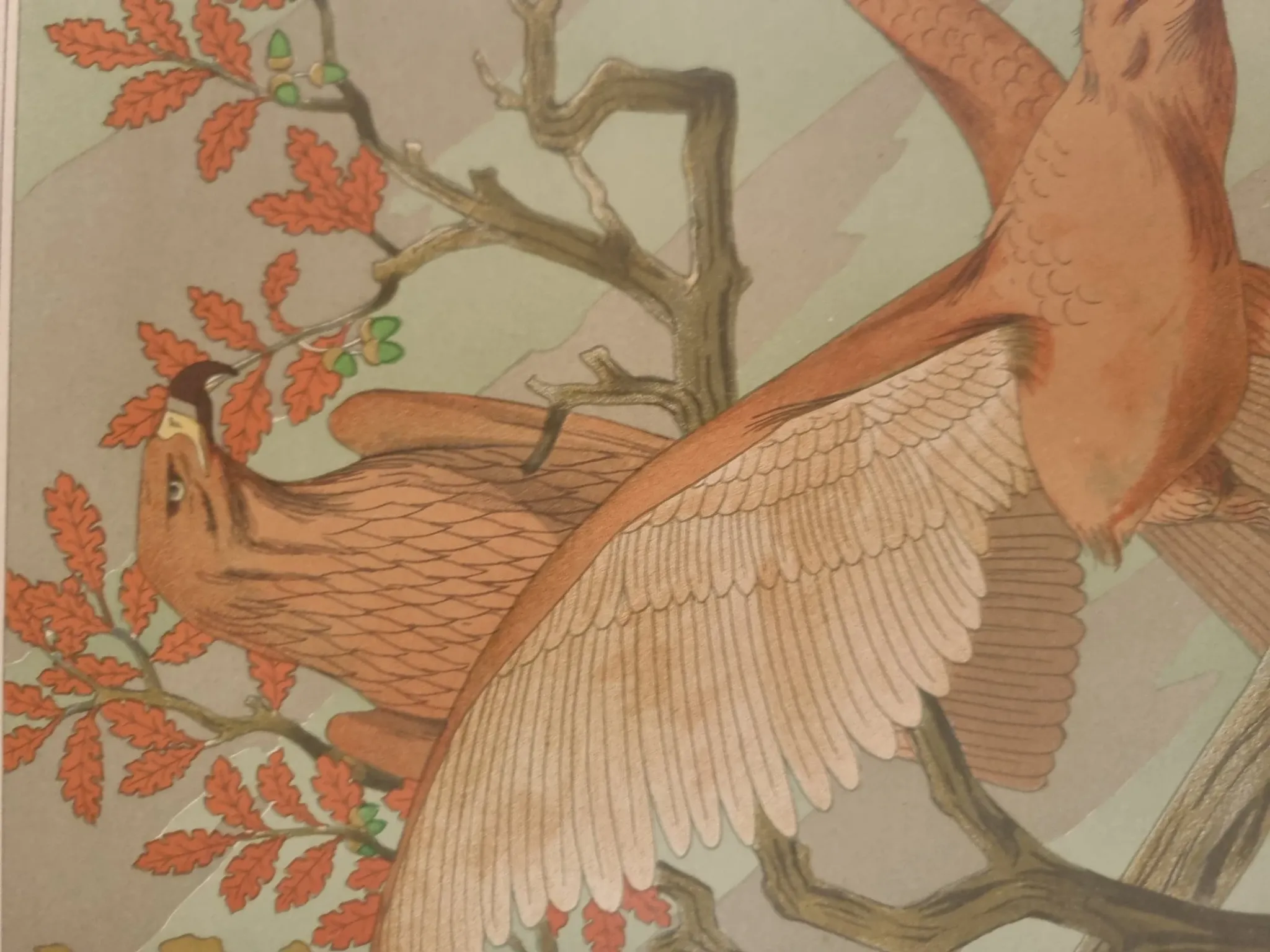 Art nouveau lithograph 'Aigles' – eagles, M.P. Verneuil, 1897