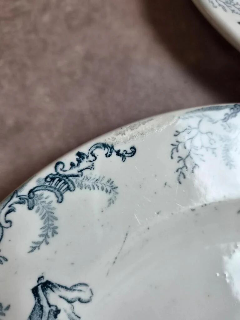 Set of 12 plates Terre de Fer Clairefontaine Cyclamens