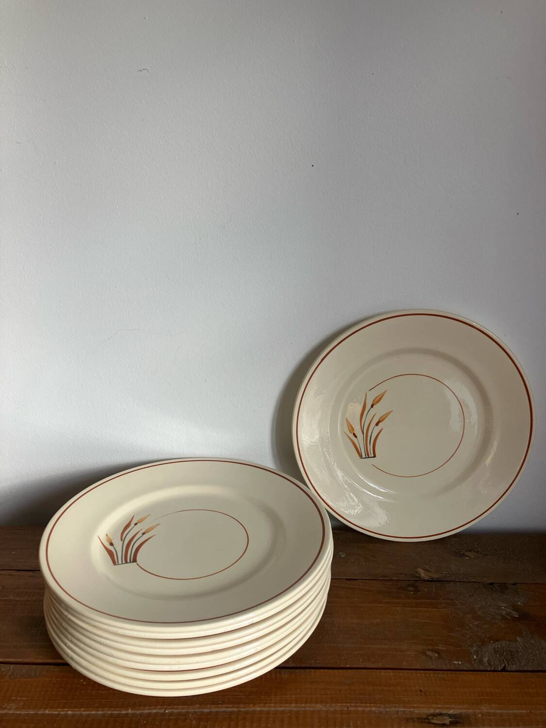 10 assiettes à dessert 