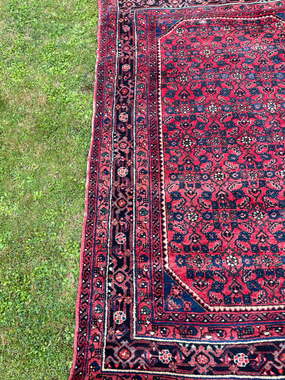 Oriental carpet