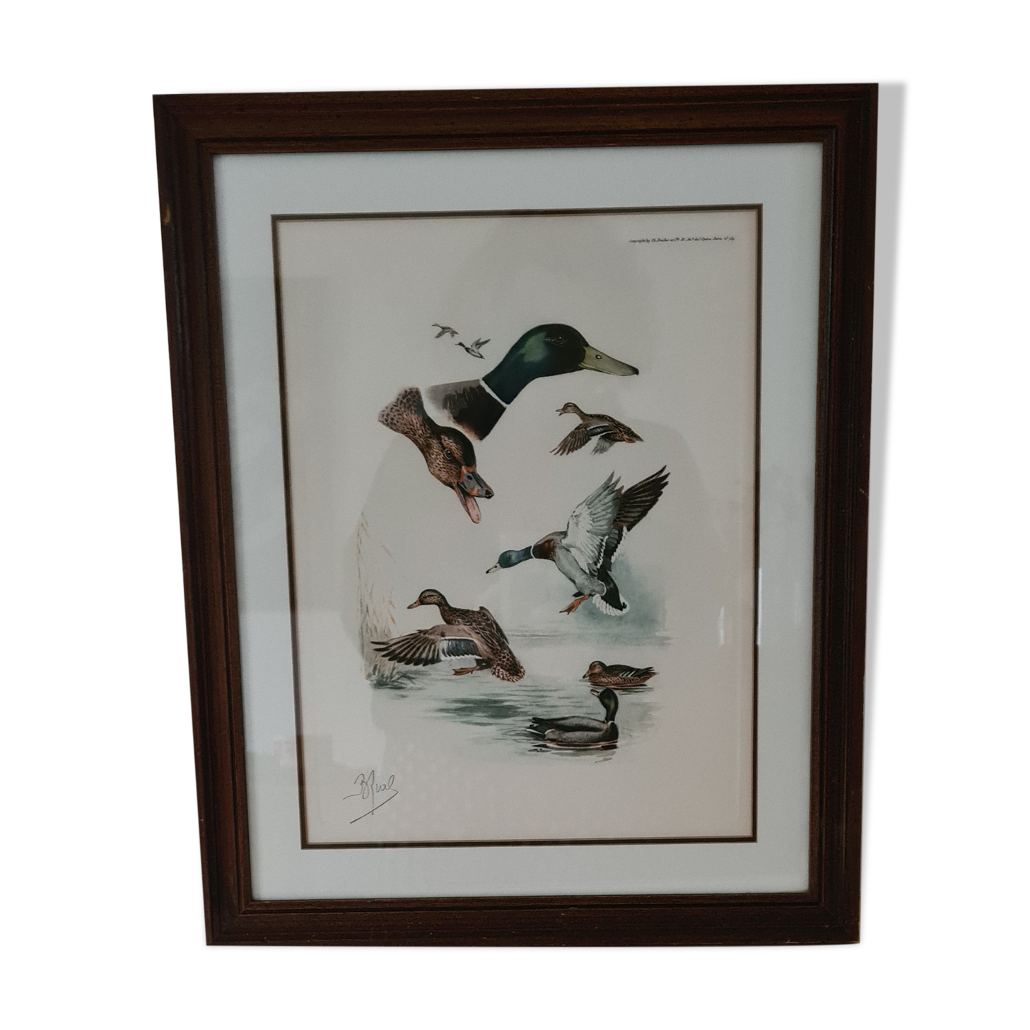 Reproduction lithograph duck Brial