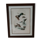 Reproduction lithograph duck Brial