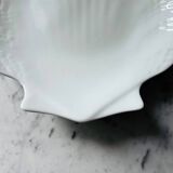 Porcelain shell plate