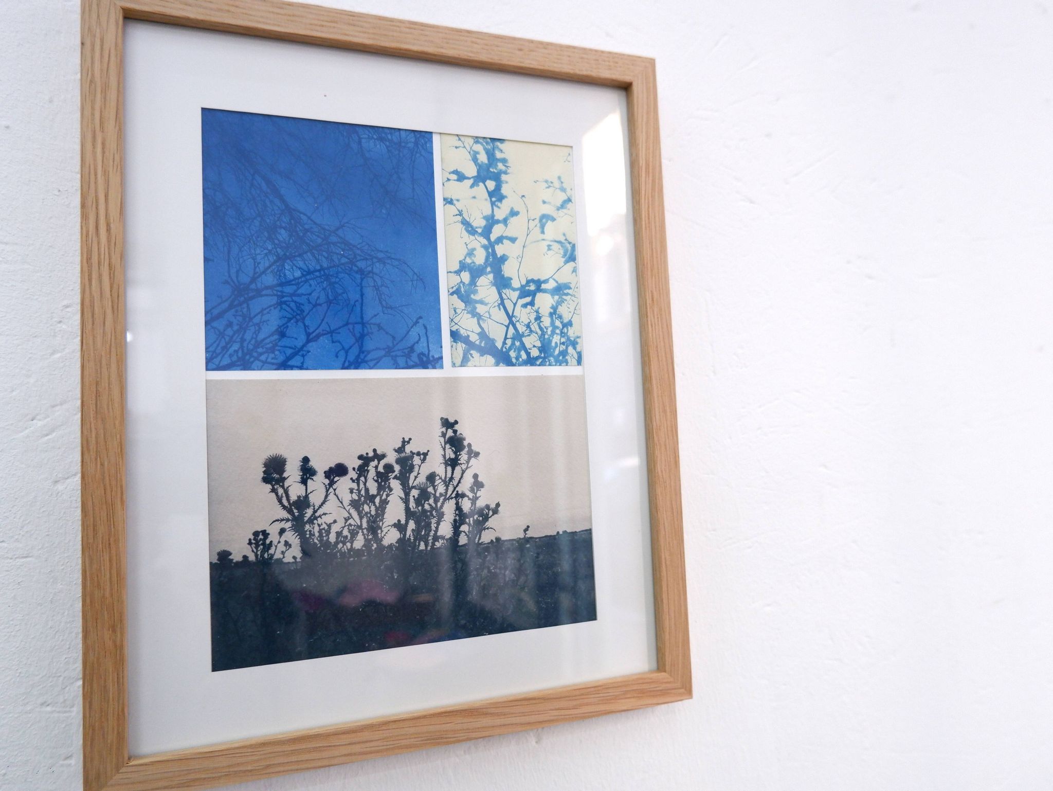 Cyanotype photography Landscape
