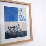 Cyanotype Landscape Photography