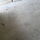 4 old partition doors