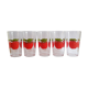 Lot de 5 verres Henkel pomme années 70