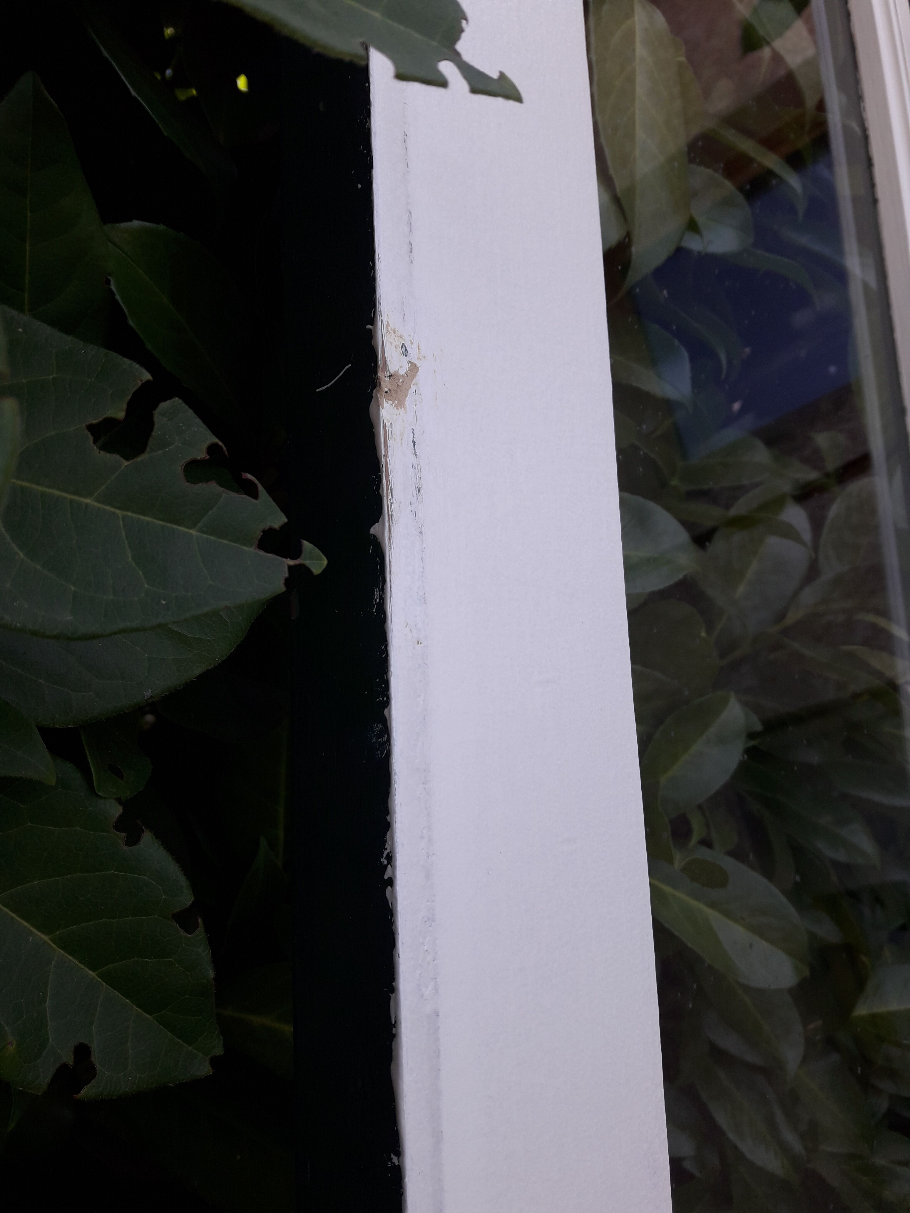 door 80x213cm Old oak glazed landing