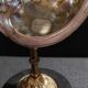 Cabinet of Curiosities haliotis rufescens shell on base