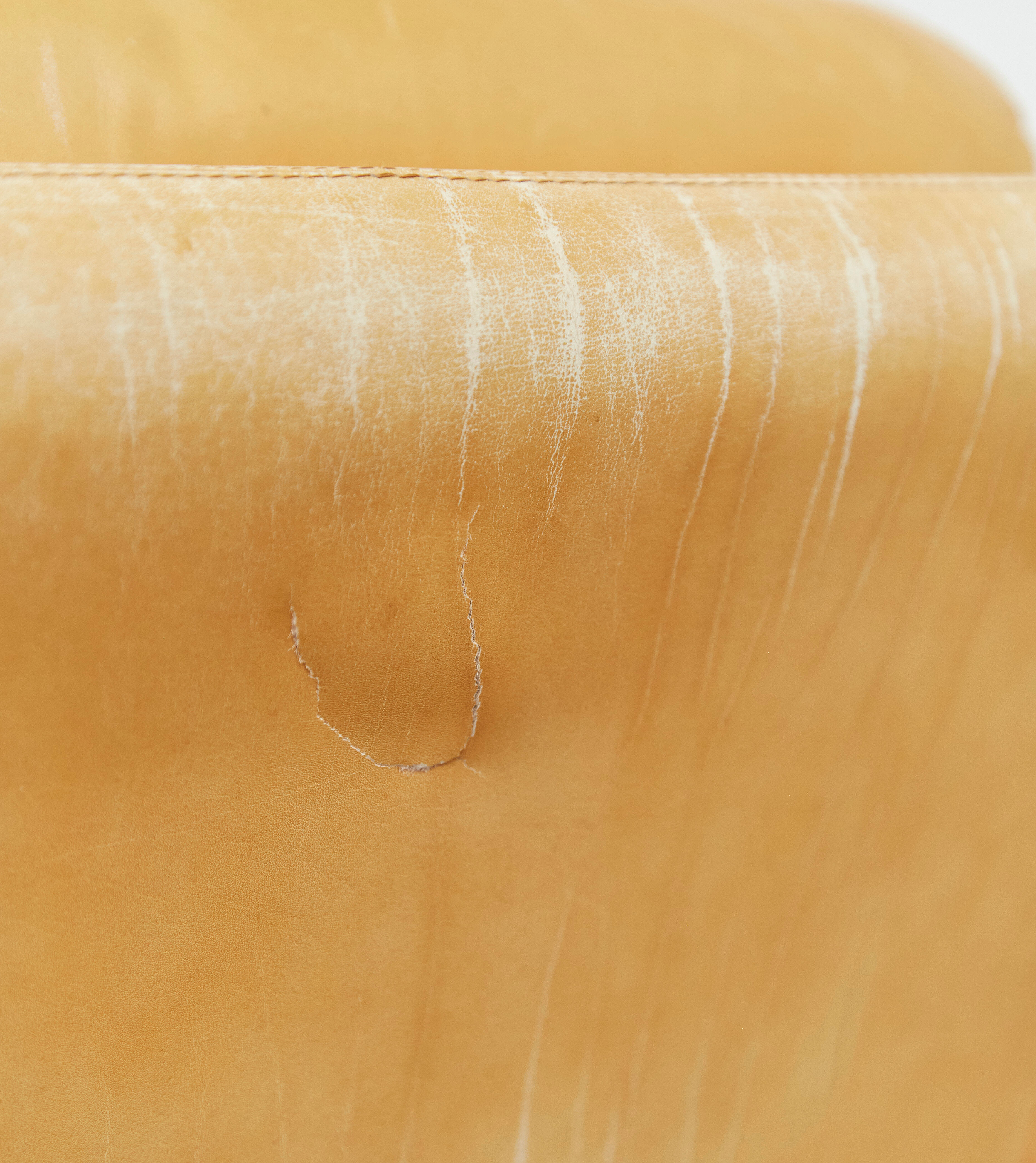 Couple Coronado Lounge Chair by Tobia & Afra Scarpa for B & B Italy