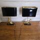 Pair of brass duck lamps from the 70s