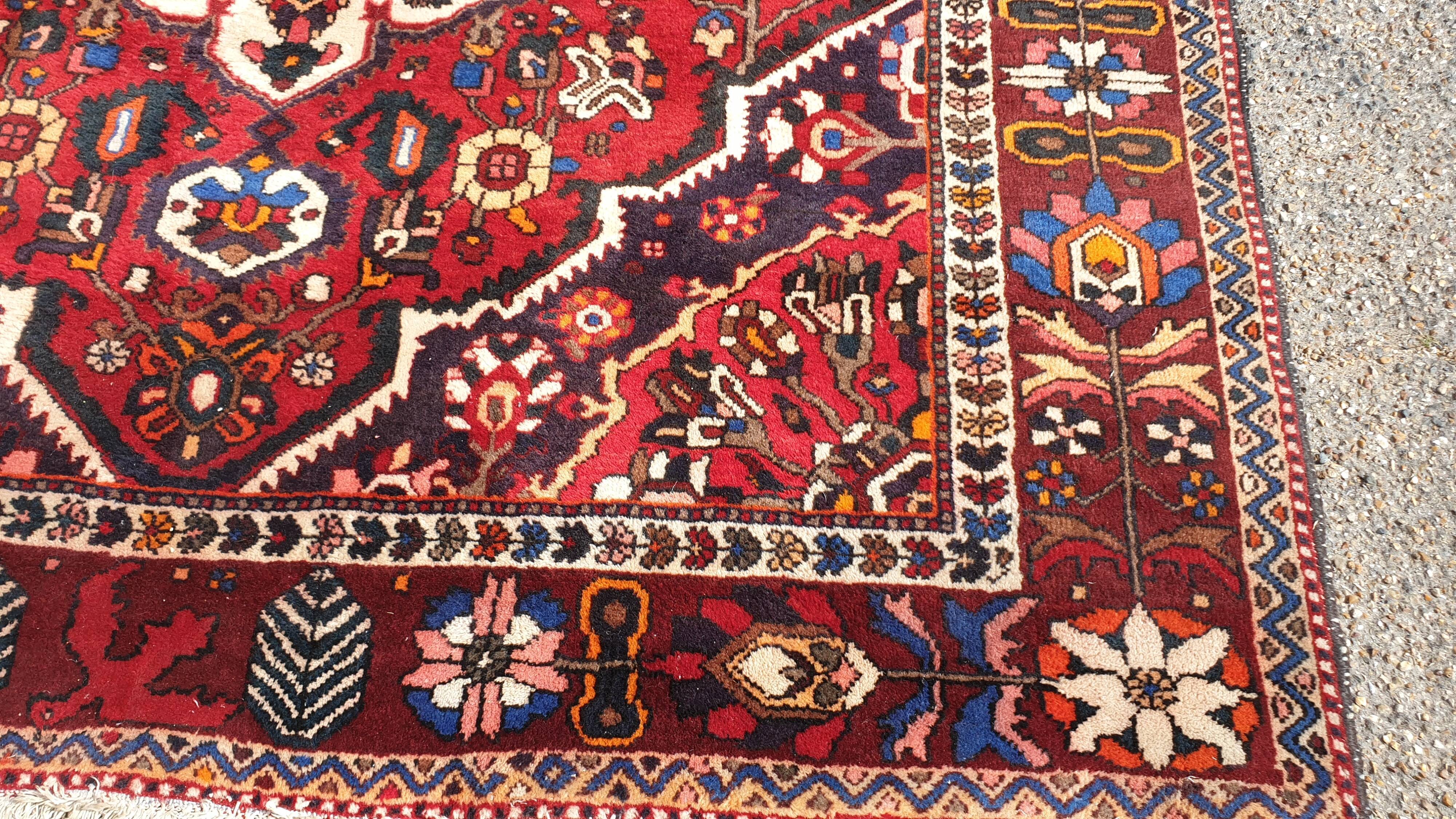 Wool bidjar rugs 202x285cm