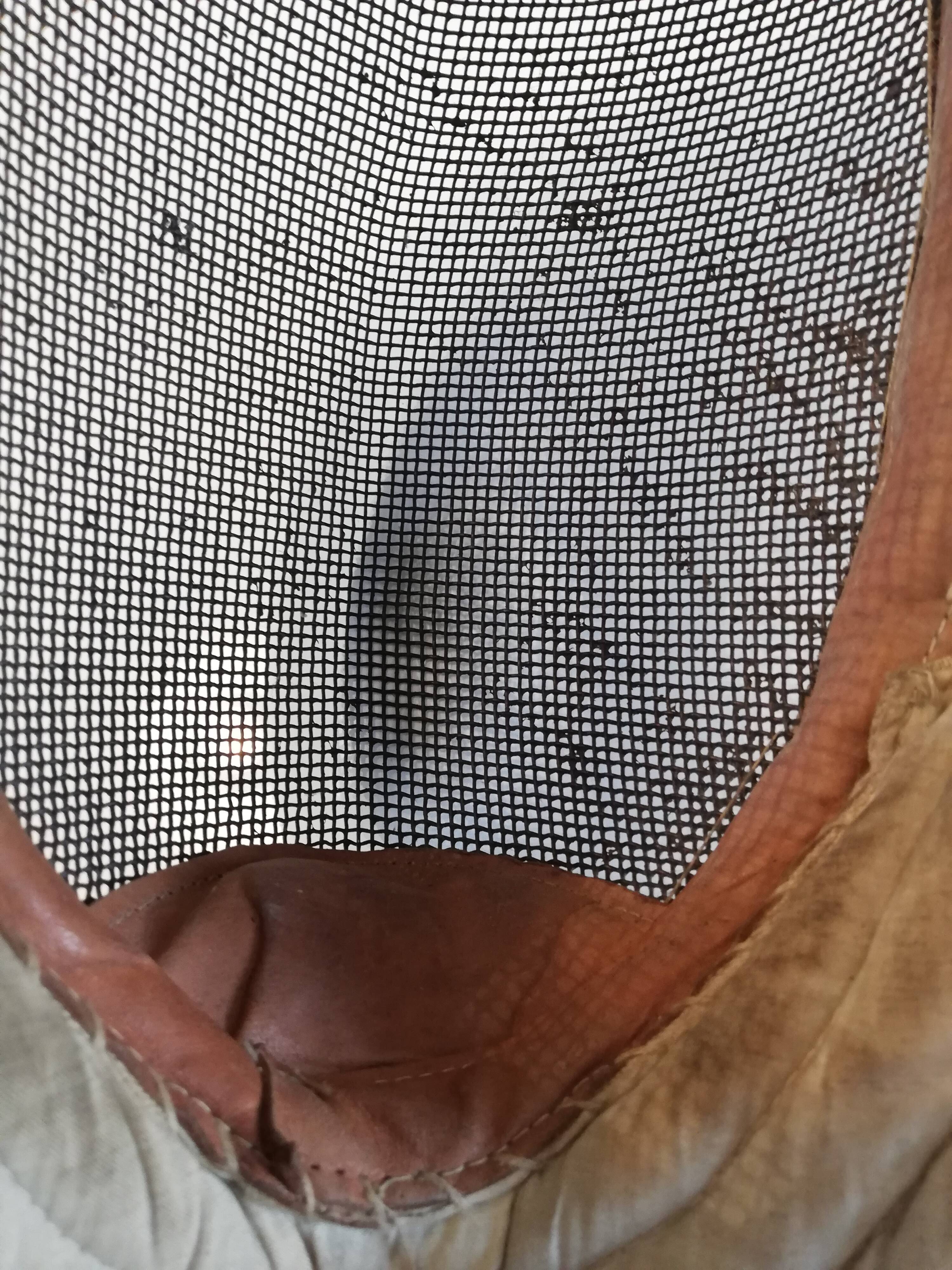Fencing mask early 20th century